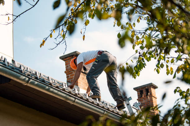 Best Roof Leak Repair  in Garland, UT